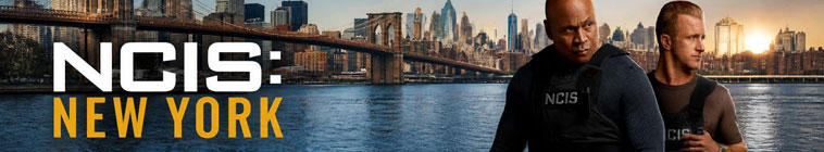 دانلود سریال NCIS: New York