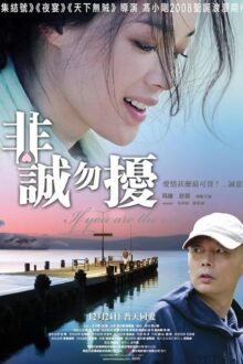دانلود فیلم If You Are the One 2008